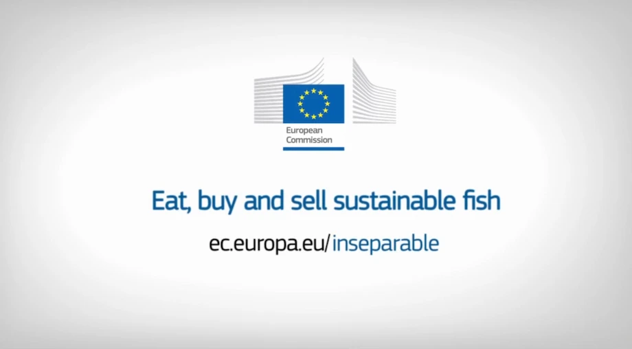 closing panel of European Commission spot