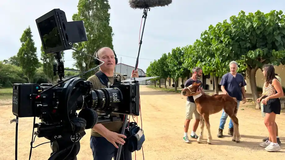 Sound technician at work during the shooting of the documentary "the horse clinik"